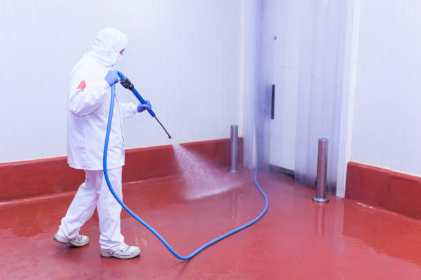 Best Pre-Holiday Cleaning  in Lamesa, TX